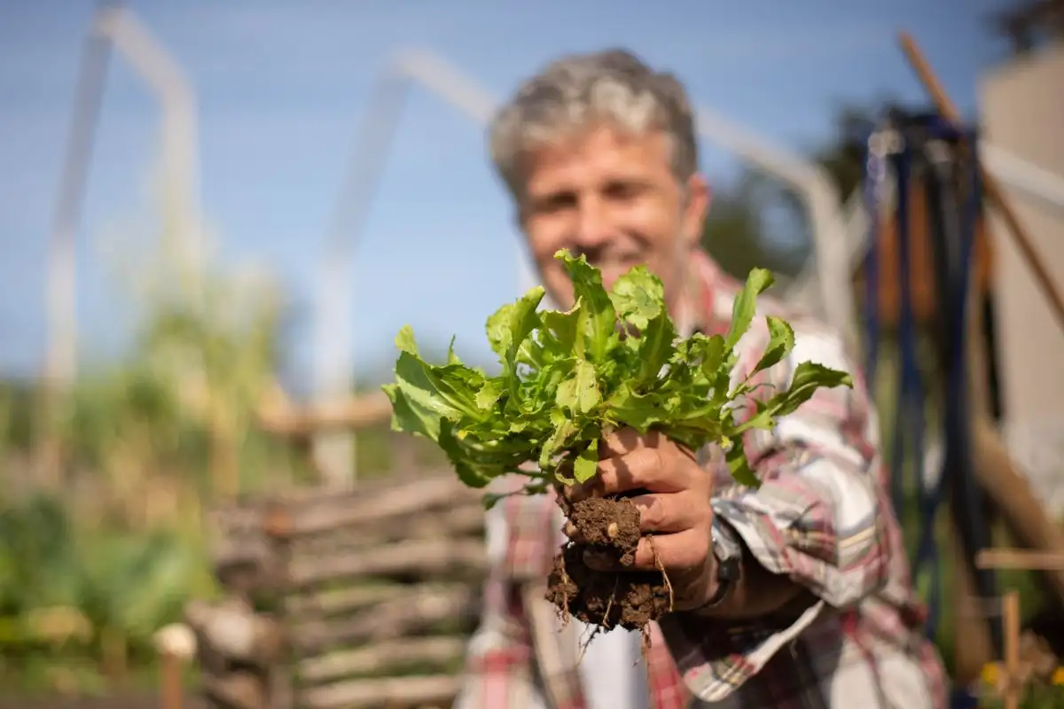 Don't Wait for Perfect Ripeness and Lose Your Next Crop