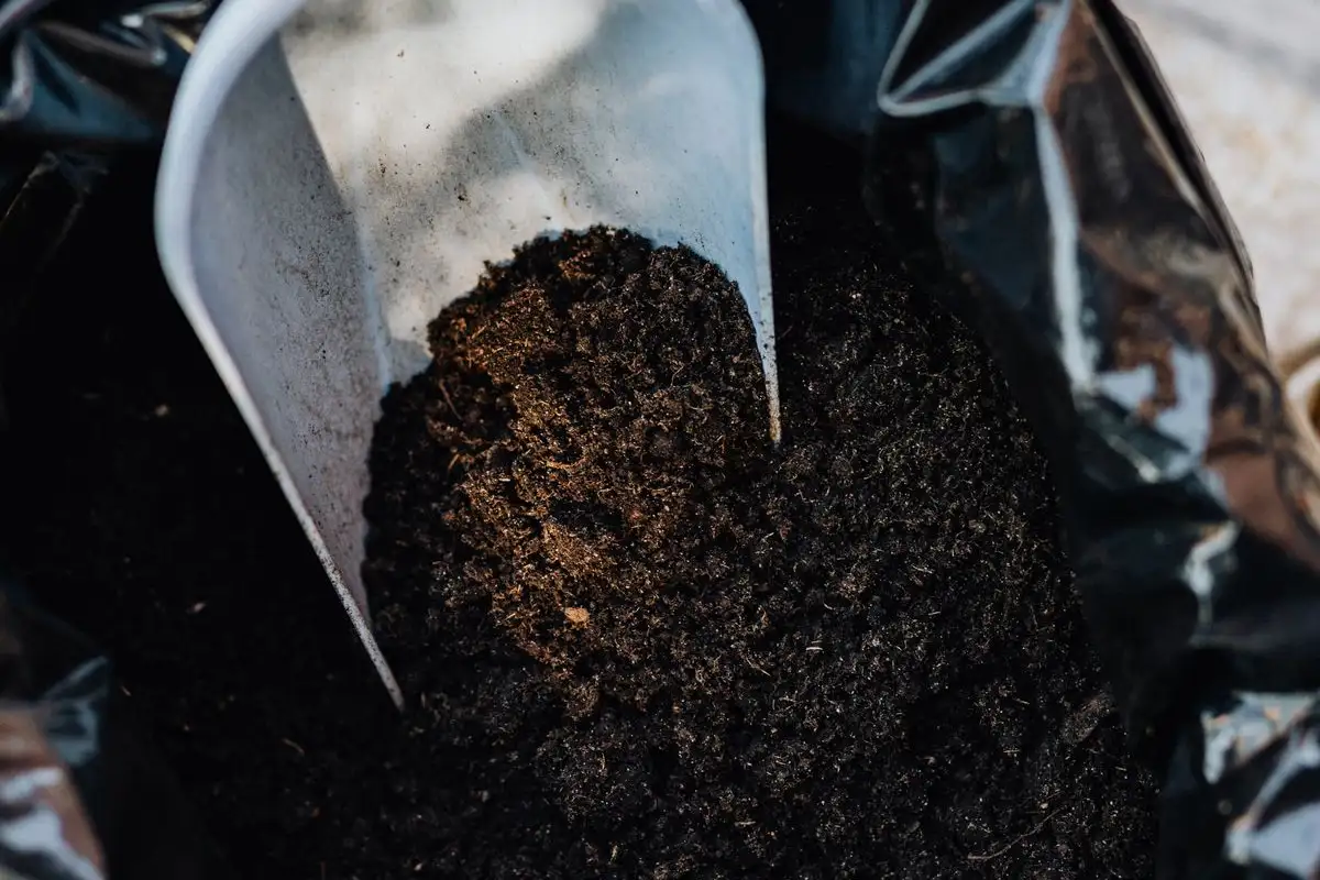 How Many Inches of Compost per Bed, and Which Kind?