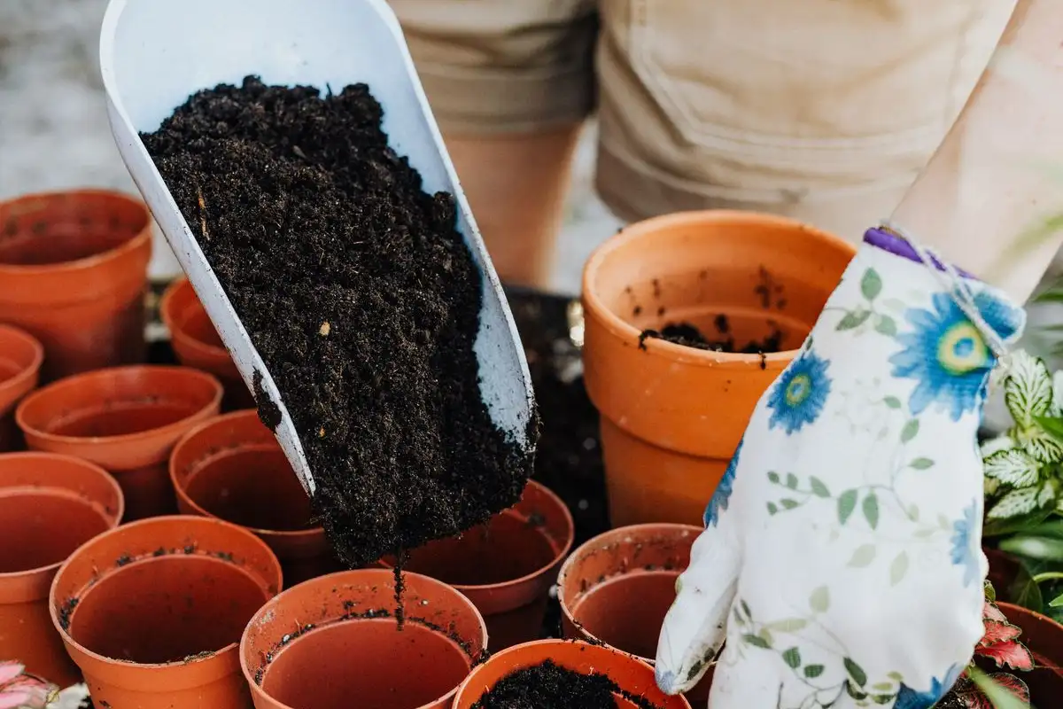 Your Potting Mix pH Drifts Faster Than Garden Soil Does